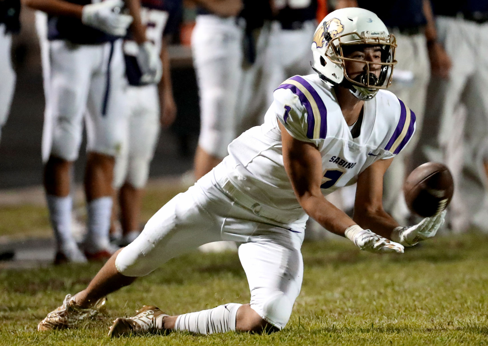 Sabino vs Sahuaro